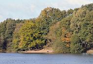 1042_9612  Blick ber den Kupferteich von Hamburg Lemsahl-Mellingstedt; die Bume des Waldes, der sich bis an die Ufer des Sees erstrecken sind teilweise herbstlich gefrbt. Ein einzelner freilaufender Hund steht am Strand am Wasser. 