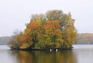 1308_1160  See im jendorfer Park an einem grauen Herbstag - die Bltter der Bume haben ihr Herbstkleid angelegt. Im diesigen Hintergrund das andere Ufer des Sees mit Herbstbumen. 