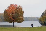 1312_1157  Herbstatmosphre in Hamburg Billstedt - bunter Herbstbaum am Ufer des Sees; das gegenberliegende Ufer verschwindet im Dunst des grauen Herbsttages. Ein Paar geht auf seinem Weg um den jendorfer See ber eine Wiese.