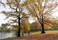 1379_0664  SpaziergngerInnen gehen in der Herbstsonne im Eichenpark in Hamburg Harvestehude spazieren. Am Ufer der Alster stehen Holzbnke auf denen sich die Spaziergnger ausruhen knnen; Herbstlaub liegt auf dem Alsterweg und der Wiese. 