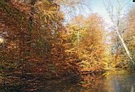 1483_1606  Herbstfarben im Poppenbttler Park Hohenbuchen - Laubbume mit herbstlich gefrbten Blttern stehen am Ufer eines Teichs, sie spiegeln sich im Wasser. 