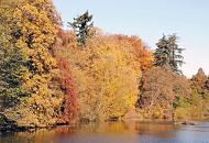 1578_1655 Weit ragen die ste der Bume ber das Wasser des Schleusenteichs, der von der gestauten Alster gebildet wird. Das Laub der Bume leuchtet in allen Herbstfarben, goldgelb, rostrot und rotbraun. 