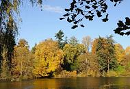 1582_1651 Blick ber den Mhlenteich bei der Poppenbttler Schleuse - das Ufer des Sees, der von der Alster gebildet wird, ist von Laubbumen gesumt deren Laub in allen Herbstfarben strahlt. Auf