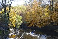 1589_1822 Ein Kanufahrer hat sein Boot bei der Poppenbttler Schleuse wieder ins Wasser gesetzt und fhrt alsterabwrts - das Ufer des Hamburger Flusses sumen  Herbstbume, die ihre leuchten