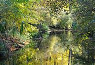 1677_1692 Die Herbstfarben der Bume, die am Ufer der Alster stehen, spiegeln sich im Wasser. Weit ragen die ste der Strucher und Laubbume ber das Wasser des Flusses, der im Stadtteil Wellingsbttel noch recht schmal ist.