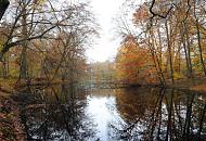 1727_2478 Teich im Wald in der Nhe der Volksdorfer Teichwiesen - Herbstbume stehen am Ufer des Sees; Herbstlaub schwimmt im Wasser.