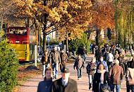 358_1353  Sonntagsspaziergang an der Hamburger Aussenalster in der warmen Herbstsonne; die Strassenbume zeigen prchtige herbstliche Farben - ein Doppeldeckerbus der Hamburger Stadtrundfahrt fhrt an der Alster entlang. 