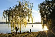 432_1349  Herbststimmung an der Hamburger Aussenalster, die tiefstehende Sonne scheint durch die Bltter einer Weide, die am Ufer des Sees steht. Eine Mutter mit Kind am Wasser werfen lange Schatten - ein Kanu fhrt ber die fast spiegelglatte Alster. 