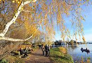 444_1316  SpaziergngerInnen am Ufer der Aussenalster Hhe der Strasse Bellevue in Hamburg Winterhude; einige sitzen auf Ruhebnken, unterhalten sich oder blicken ber die Alster. Zweige einer Birke mit goldgelben Herbstblttern ragen ber das Weg und das Ufer der Alster. Ein Kanu fhrt Richtung Langen Zug. 