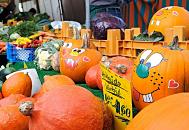 828_8572  Gemsestand auf dem Fuhlsbttler Wochenmarkt im Herbst - Krbisse in der Auslage. Lustige bunte Gesichter sind auf die grossen Herbstfrchte gemalt; ein Schild weist auf den Verkauf von Hokkaido-Krbis hin.