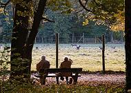 16_03829  zwei RentnerInnen sitzen auf einer Holzbank im Niendorfer Gehege unter Herbstbumen und blicken zum Wildgehege hinber. Hinter dem Zaun steht Damwild auf der Wiese - im Vordergrund ist der Weg und der Boden unter den Bumen dicht mit Herbstlaub bedeckt.  www.christoph-bellin.de