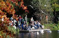 16_03812 auf dem Bootsanleger am herbstlichen Stadtparksee sitzen die Parkbesucher in der Sonne, lesen, hren Musik, unterhalten sich oder fttern die Schwne und Mwen.  www.christoph-bellin.de