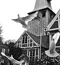 17_21481 Um dem Hochzeitspaar vor der Bergedorfer Kirche Glck fr ihre Ehe zu wnschen werden weisse Tauben in die Freiheit gelassen. Sie fliegen vor der Fachwerkkirche aus ihrem Kfig in die Luft. www.hamburg-fotograf.com