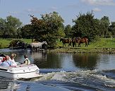 17_21602 Ein Motorboot fhrt auf der Doveelbe; die Bootsinsassen sitzen in der Sonne. Am Flussufer steht eine Pferdeherde im Wasser und auf der Weide. www.hamburg-fotograf.com