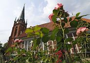 17_21646 Rosen blhen auf dem Kirchhof der St. Nikolaikirche in Hamburg Moorfleet, Bezirk Bergedorf - die Fachwerkkirche St. Nikolai wurde um 1680 erbaut; der Turm um 1885 errichtet.  www.hamburg-fotograf.com
