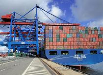 011_85_0138 Das 340 m lange und 45m breit Container HYUNDAI FORCE liegt am Ballinkai des Terminals Altenwerder; weit ragen die Containerbrcken ber das Schiff und lschen die Ladung;  der Frachter kann ca. 8750 TEU Standardcontainer transportieren.