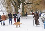 35_5101 Es gehrt mit zur hanseatischen Tradition am Sonntag Nachmittag einen Alsterspaziergang zu unternehmen. Eine Dame im Pelzmantel und Nordic Walking Stcken geht ihren Weg durch den Schnee am Alsterufer. Andere joggen mit kurzer Hose durch das Schneetreiben. Aufnahmen von Hamburg - Spaziergnger am Alterufer im Winter.