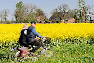0773 Fahrradfahrer / Paar, Mann und Frau auf Fahrrädern vor einem blühenden Rapsfeld in Haseldorf.