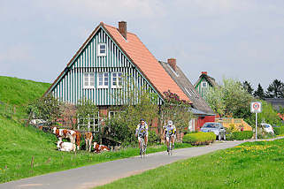 1195 Wohnhaus am Deich in Seestermühe - weiss grüner Giebel / Hausfassade - Radfahrer auf der Deichstrasse. 